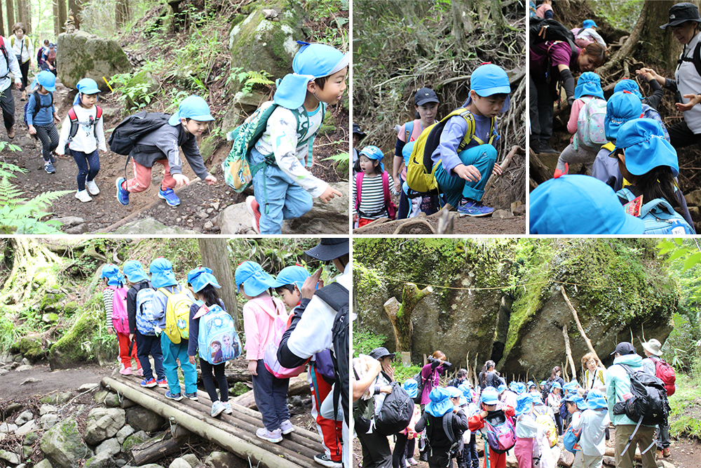 2024年はるかぜ保育園の5歳児金時山登山