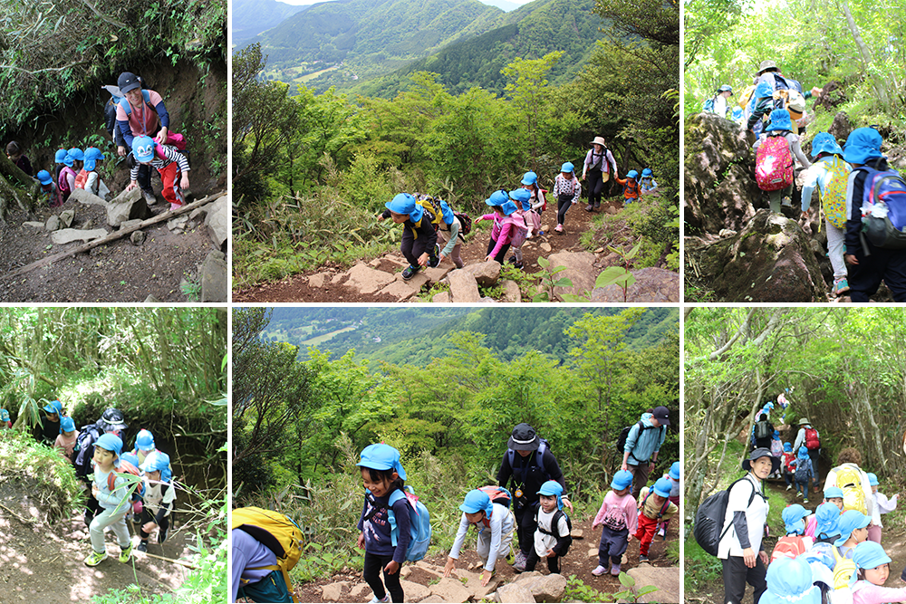2024年はるかぜ保育園の5歳児金時山登山