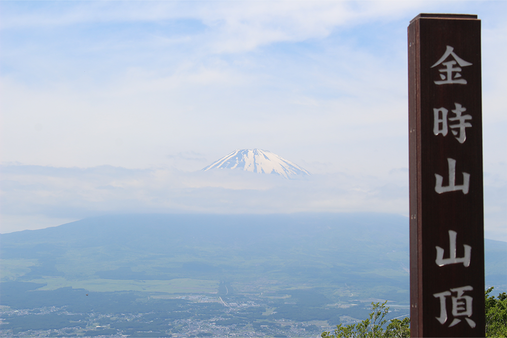 2024年はるかぜ保育園の5歳児金時山登山