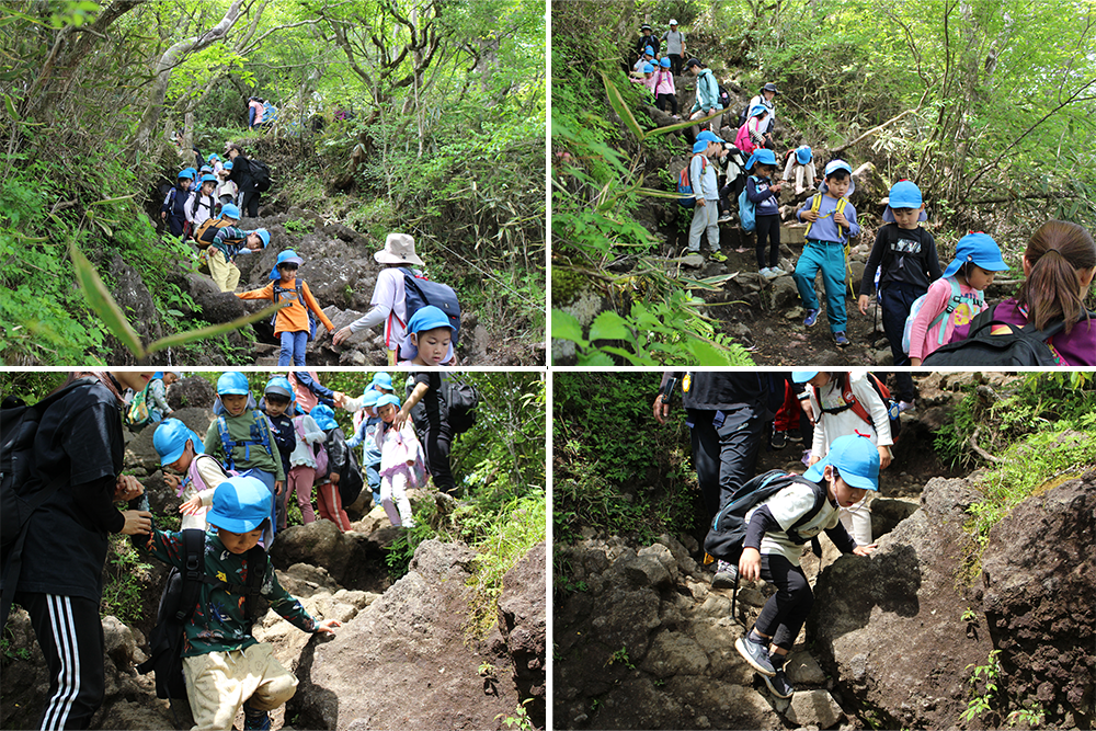 2024年はるかぜ保育園の5歳児金時山登山