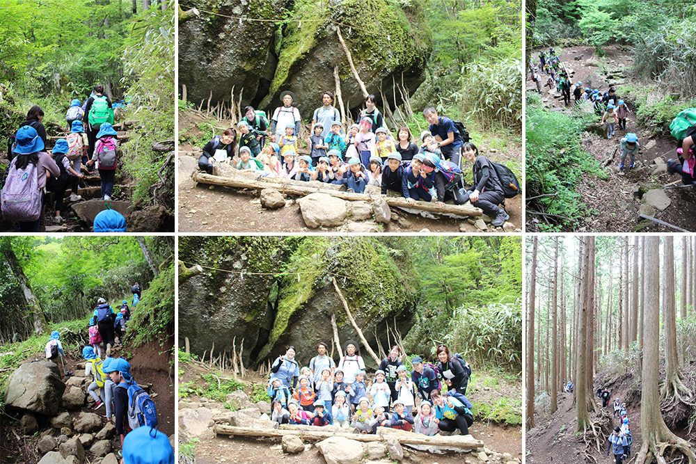 2024年はるかぜ保育園の5歳児金時山登山
