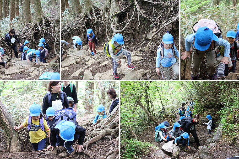 2024年はるかぜ保育園の5歳児金時山登山