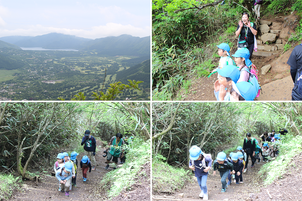 2024年はるかぜ保育園の5歳児金時山登山