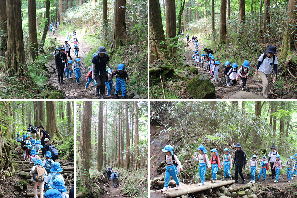 2024年はるかぜ保育園の5歳児金時山登山