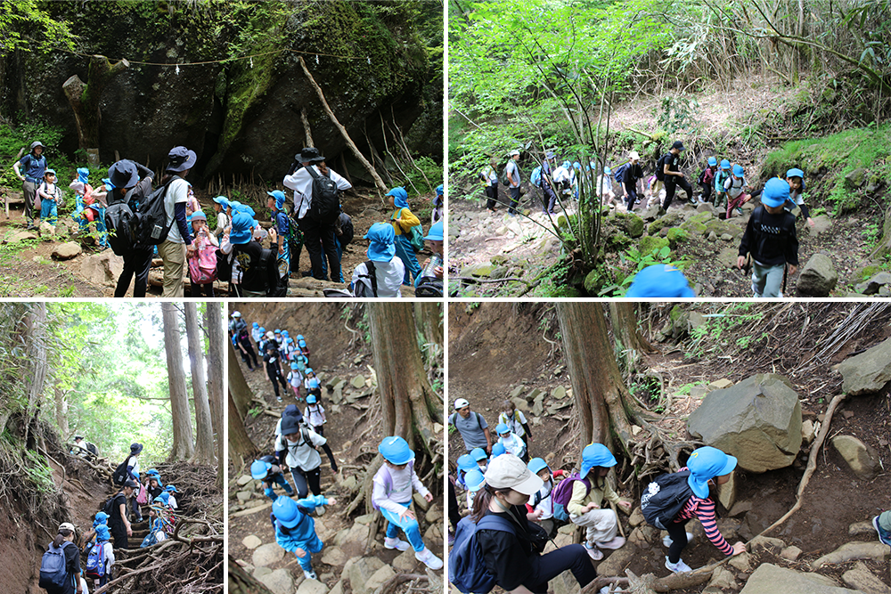 2024年はるかぜ保育園の5歳児金時山登山