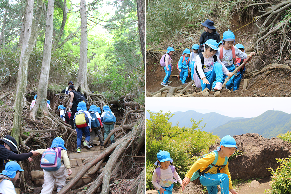 2024年はるかぜ保育園の5歳児金時山登山