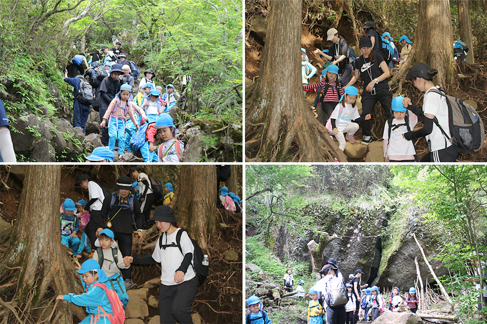 2024年はるかぜ保育園の5歳児金時山登山