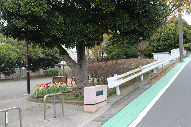 はるかぜ花壇｜港南はるかぜ保育ノート
